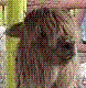 Avatar du membre
