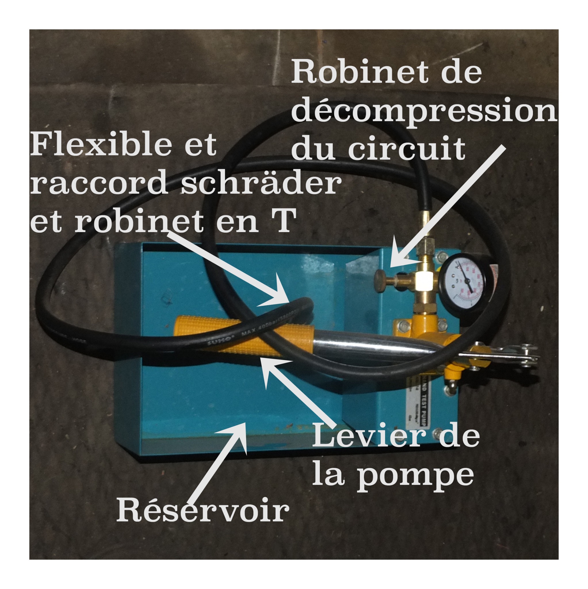 MG F hauteur suspension 2 pompe hydragas.JPG