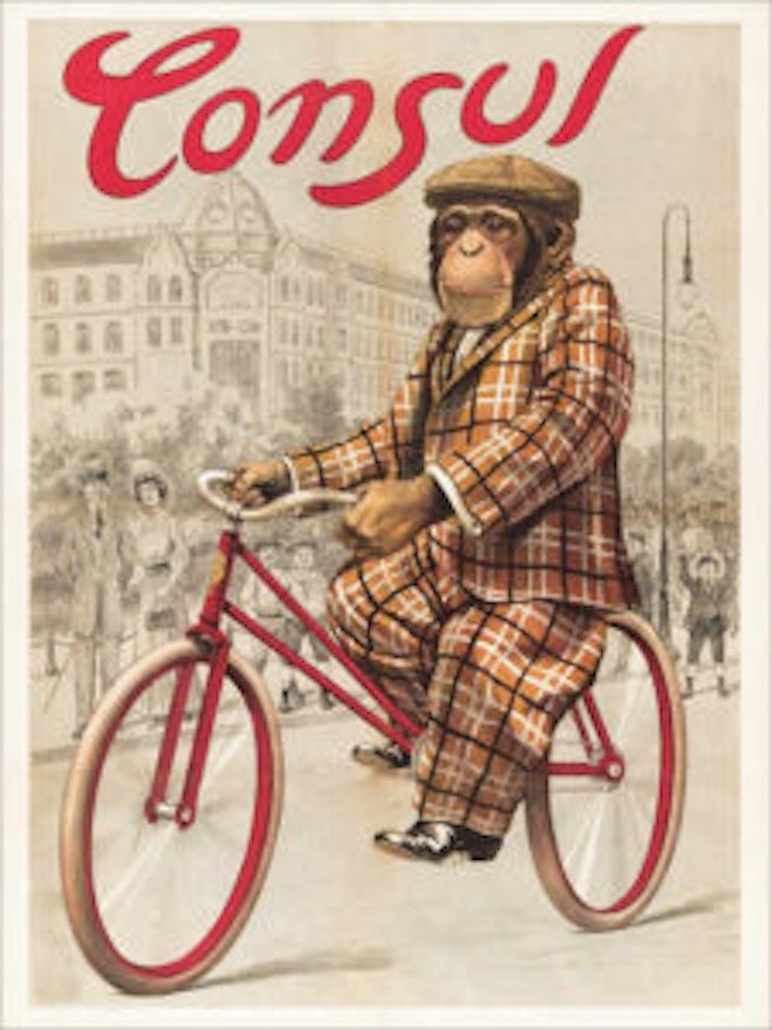 consul-velo-225x300.jpg