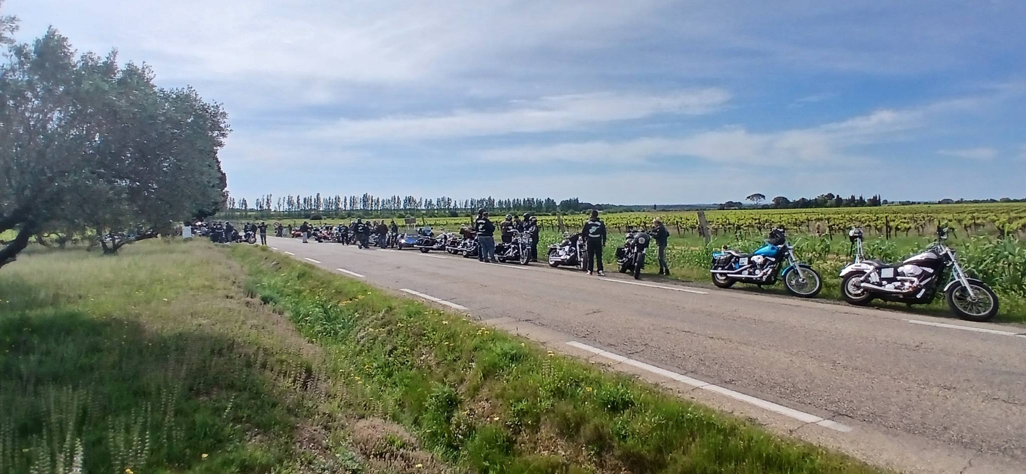 20260419_103733.jpg