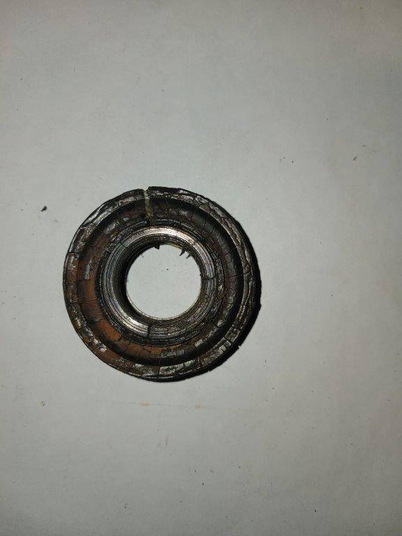 20260426_182130.jpg