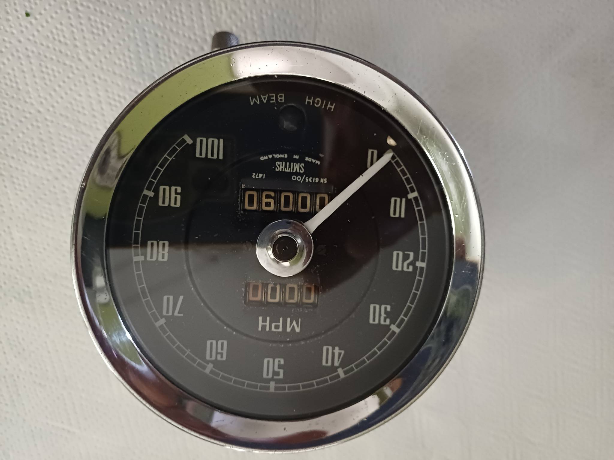 1000022576.jpg