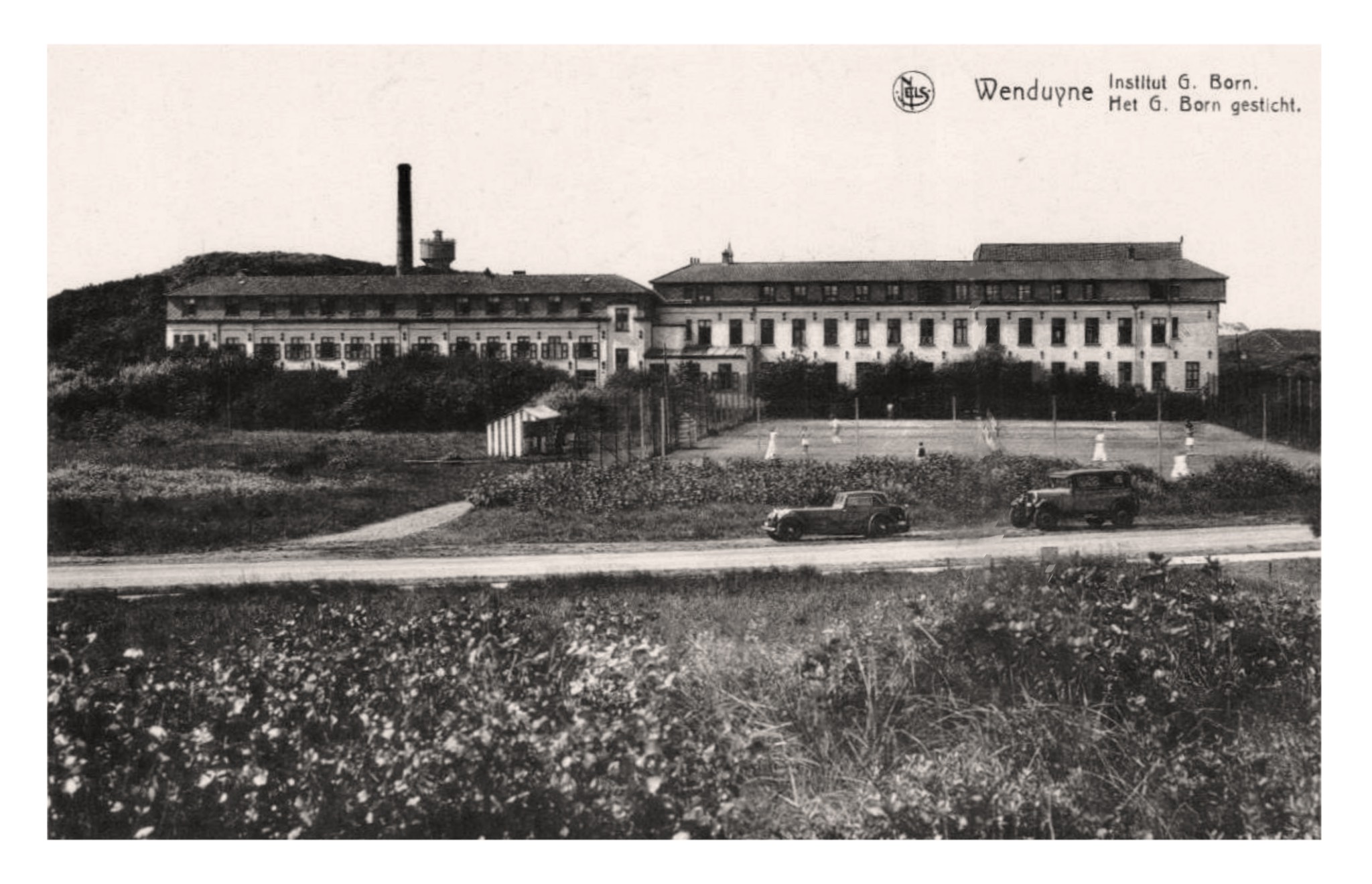 Wenduyne (B), Institut G Born (Nels).jpg
