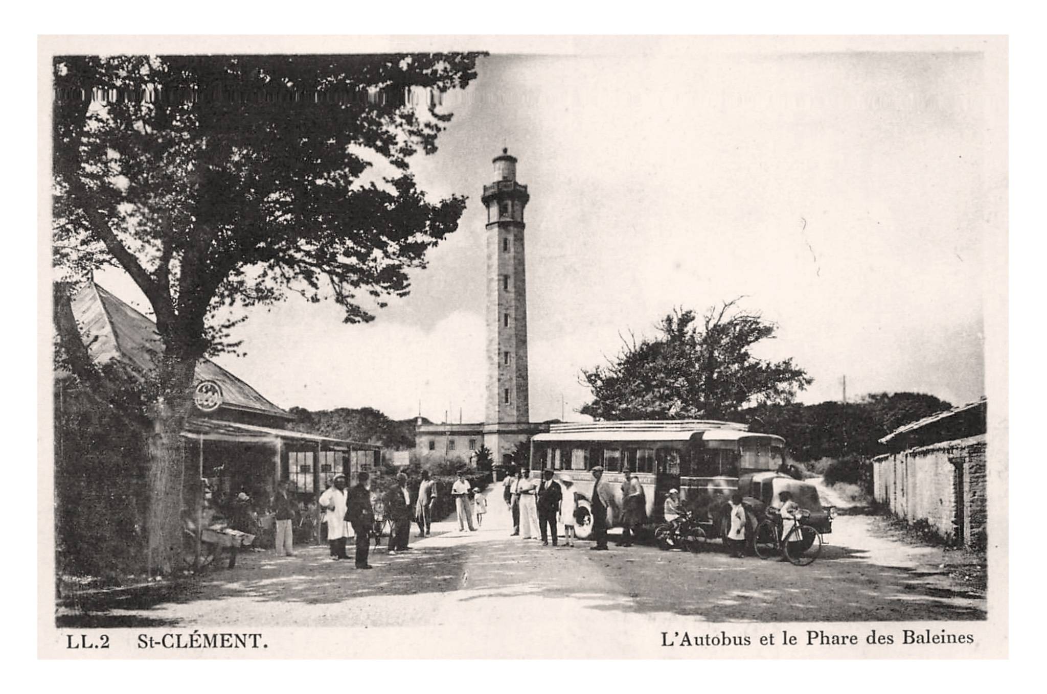 pharebaleines00.jpg