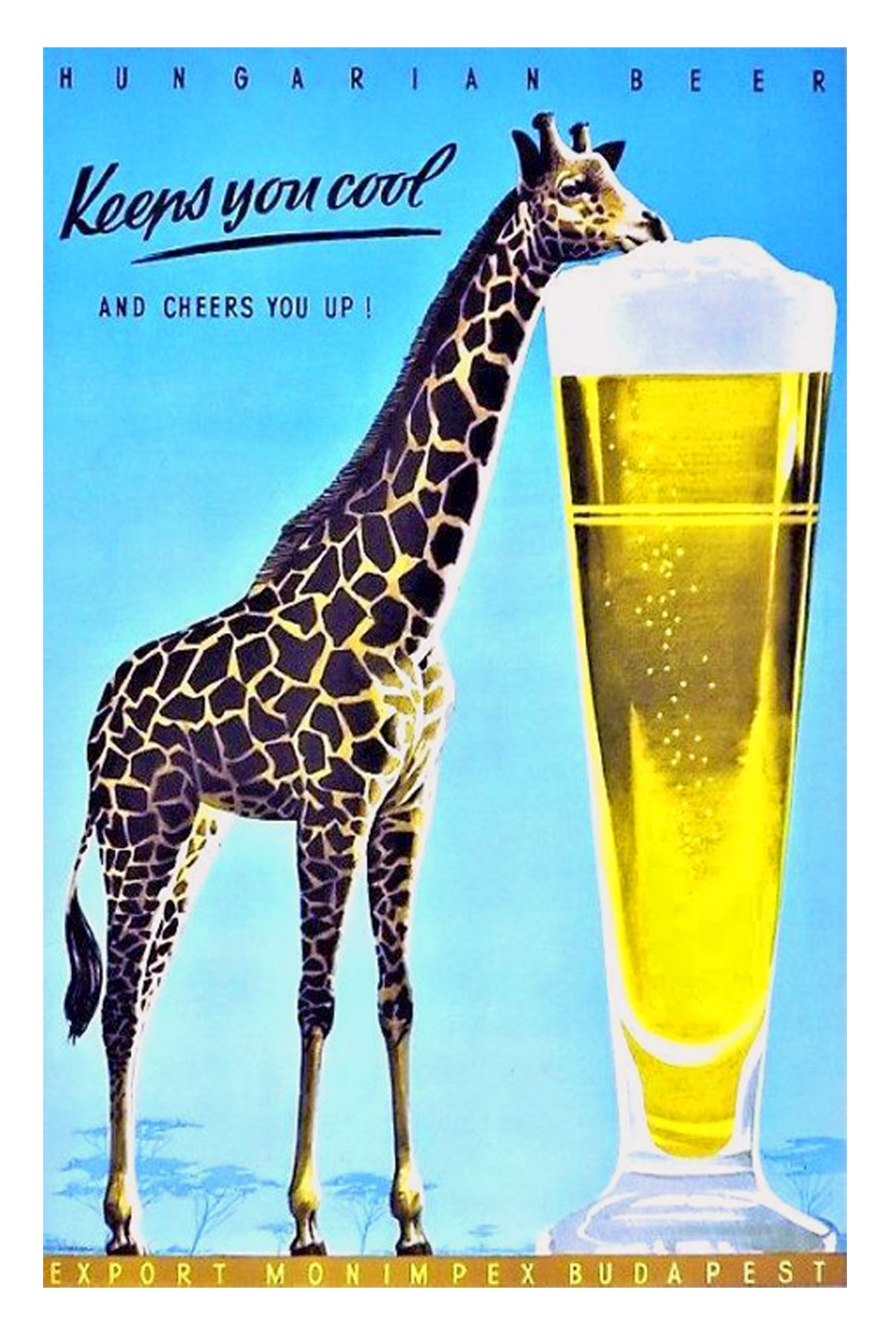 Hungarian beer.jpg