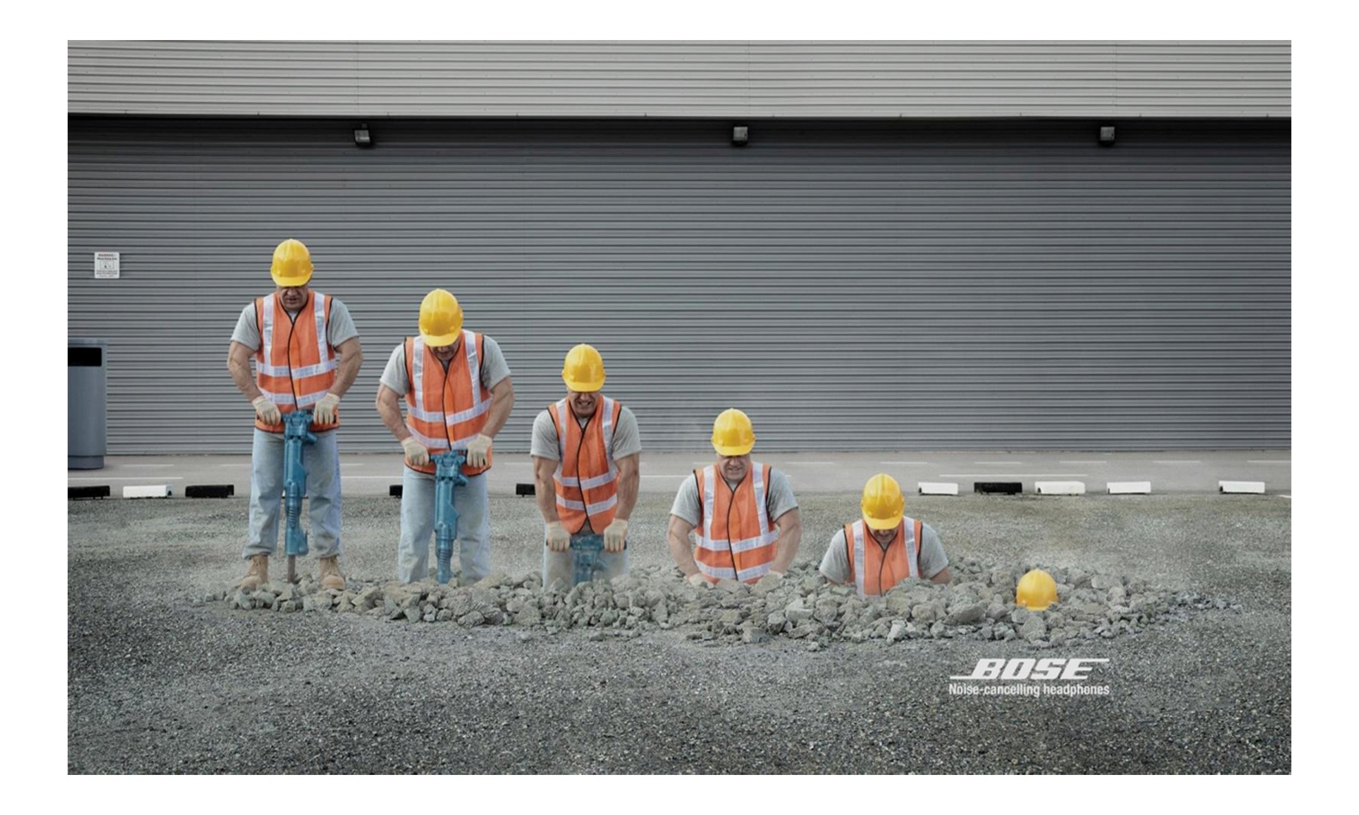 Bose.jpg
