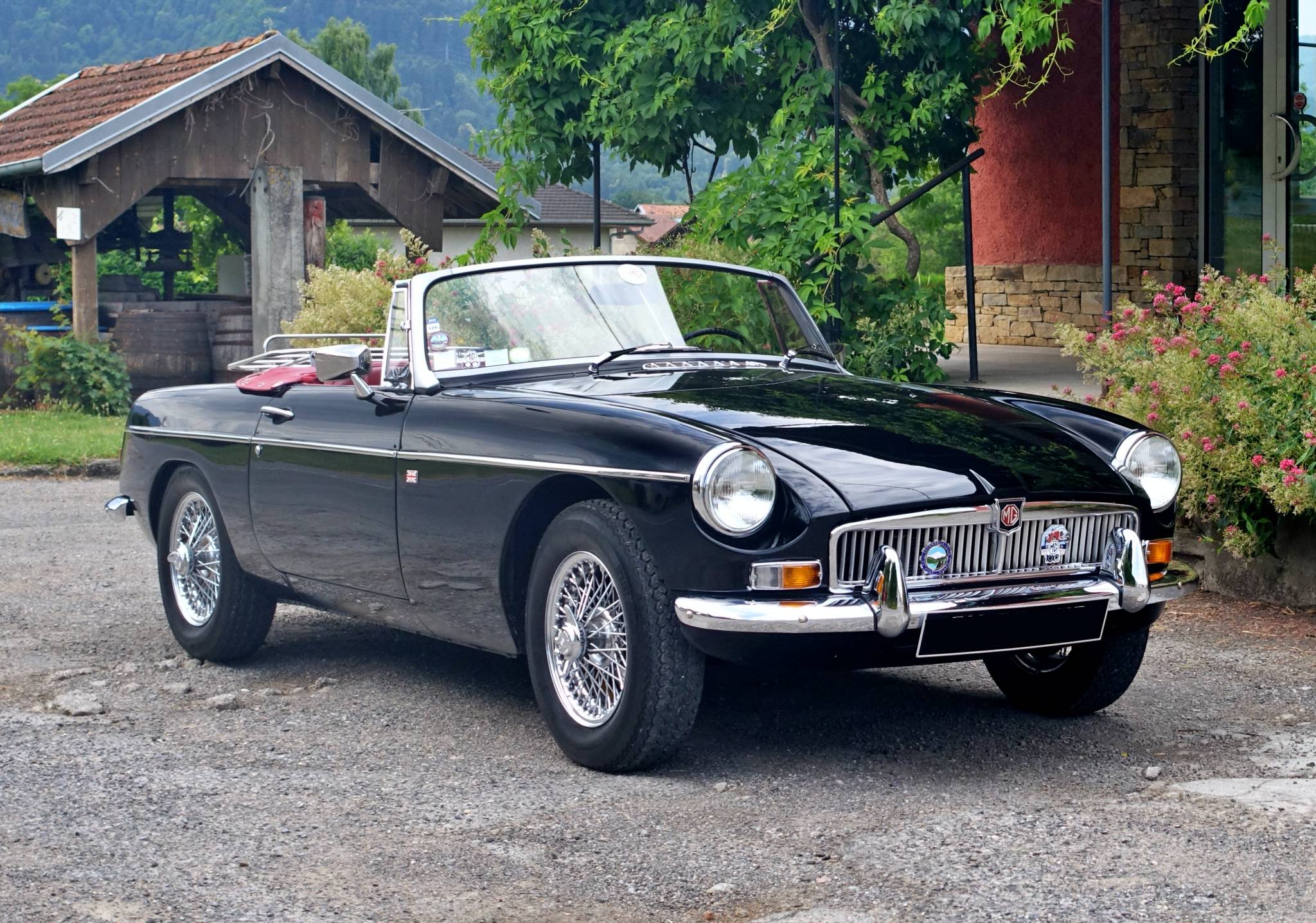 MGB MARIN 0.JPG