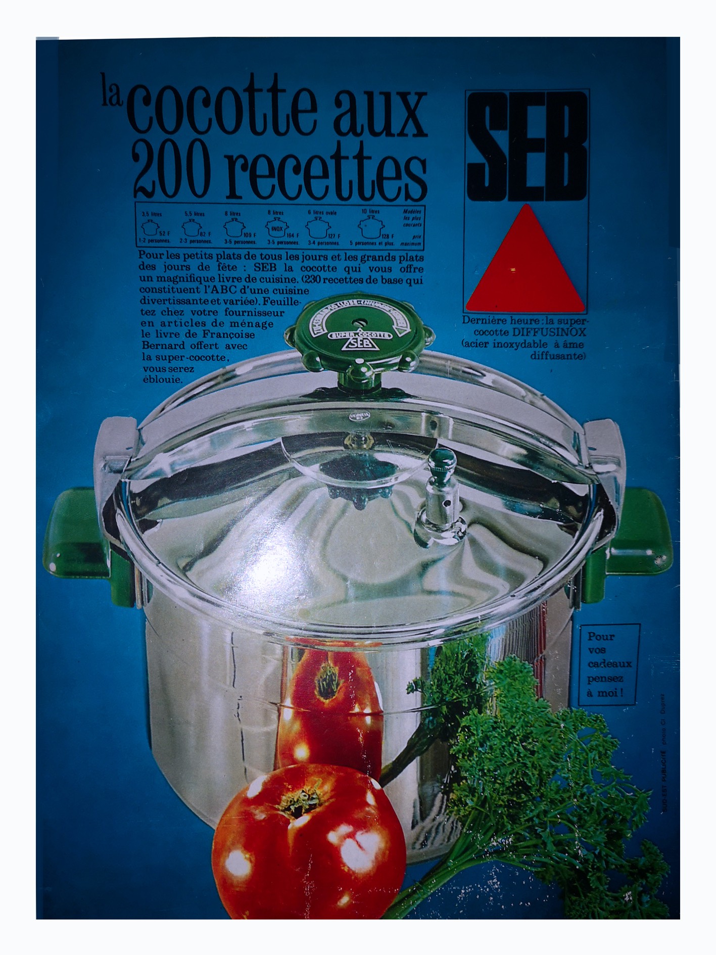 SEB, la cocotte aux deux cents recettes.jpg