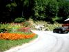 PICT0062.JPG