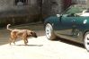 DSCF4339.JPG
