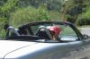 DSCF4460.JPG