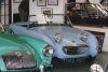 beaulieu_frogeye.jpg