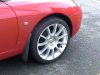 mg_1_copy11.jpg