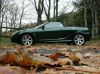 mg_tf_135.jpg