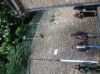 PICT0039.jpg