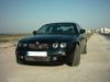 IMG_0025_800x600.JPG