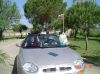 MGF_001.jpg