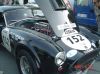 cobra1.jpg