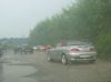 IMG_5196.JPG
