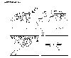 Bild7.gif