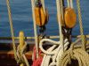 DSC09675.1.JPG