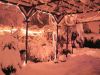 terrasse~1.JPG