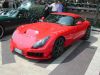 TVR_Sagaris_1_forum.JPG
