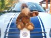 alf_VR.JPG