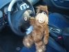 alf_vr2.JPG