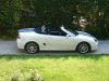 mg_top_down.JPG