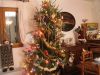 sapin_2006.JPG