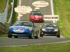 mg_mayflowers_trafic.jpg