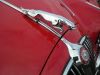 DSCN4187.jpg