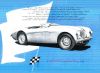 Austin_Healey_100.jpg
