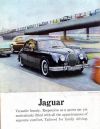 Jaguar_img_427.jpg
