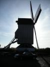Steenvoorde_010.JPG