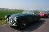 DSC_173433.jpg
