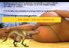 0 Dinosaure.jpg
