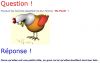 0 Ma poule.jpg