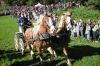 DSCN5669.JPG