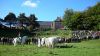DSCN5678.JPG