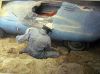 1961_Panhard_-_Mulsanne.jpg