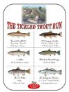 2011-07-31_The_Tickled_Trout_Run.jpg