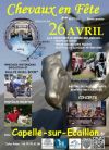 2015-04-26_Capelle_sur_Ecaillon.jpg