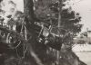 Accident_-_Citroen_Six_Coupe.jpg
