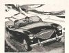 Austin_Healey_100_-_1.jpg