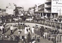 Berck_286229_-_Citroen_Traction_et_2cv2C_Simca_Aronde_et_P602C_Renault_Dauphine___.jpg
