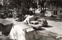 Camping_Le_Cottage_Fleuri_-_La_Griere-Plage_-_La_Tranche-sur-Mer_288529.jpg