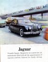 Jaguar.jpg