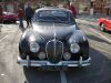 Jaguar~1.jpg